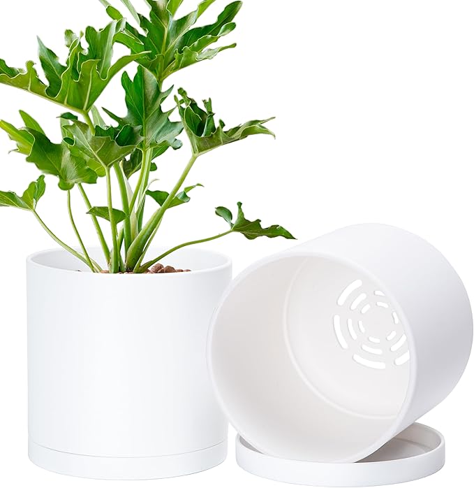 Planters: 2 Modern White Matte Plastic Pots with Saucers, 6 Inch