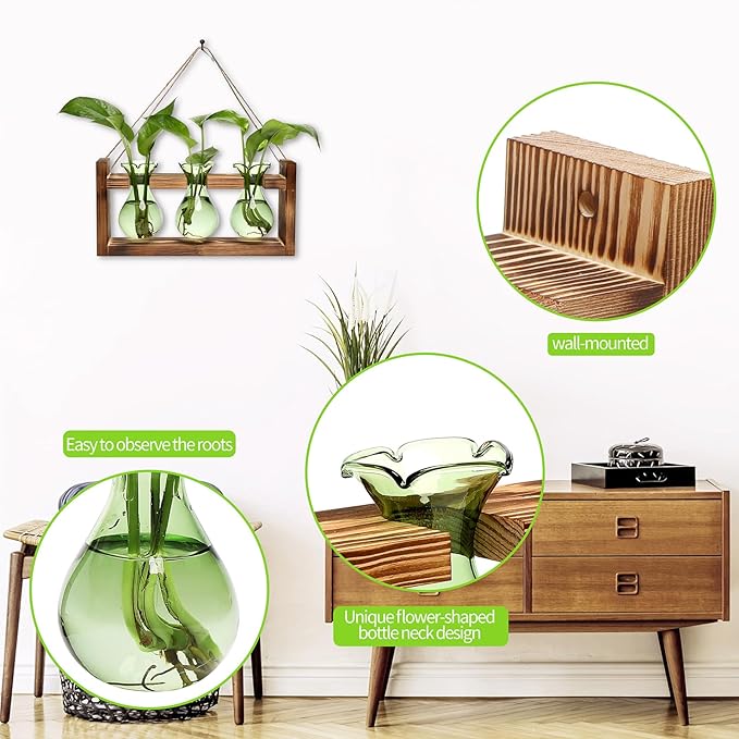 Terrarium Propagation Station, 3 Borosilicate Glass Bulbs with Wooden Stand