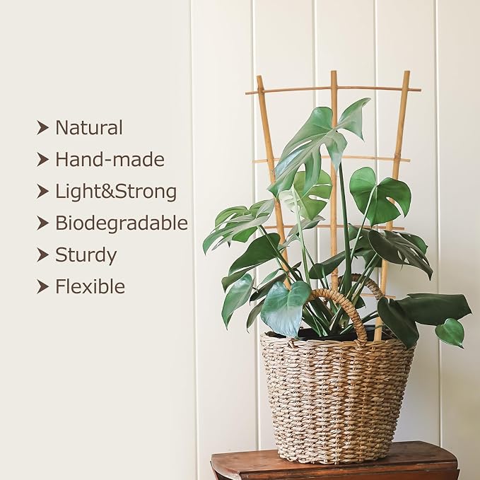 Plant Trellis Indoor 6 Pack Bamboo Trellis - Image 3