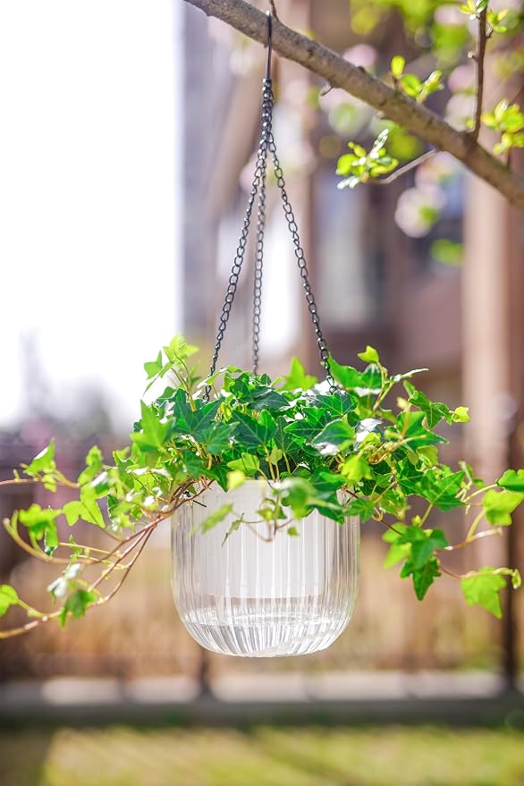 Melphoe 2 Pack Self Watering Hanging Planters Indoor Flower Pots, 6.5 Inch - Image 3