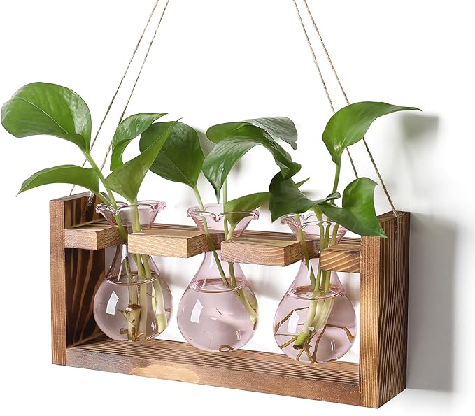Terrarium Propagation Station, Pink Borosilicate Glass, 3 Bulbs