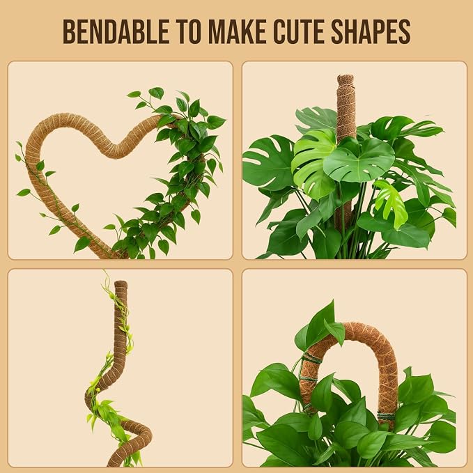 Moss Pole Monstera Plant Support – 48” Bendable Moss Pole Monstera Plant Support - Image 6