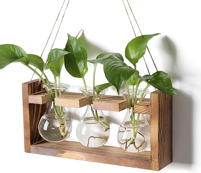 Terrarium Propagation Station with Three Glass Bulb Bottles and Wooden Stand