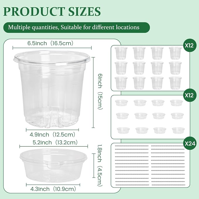 12 Pack 6.5 Inch Clear Self Watering Plant Pots - Image 2