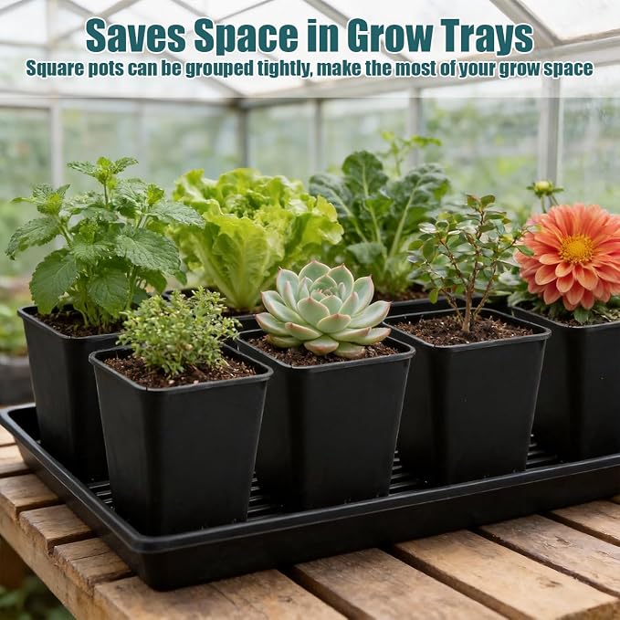 Nursery Pots 6 Inch 40 Pcs, Plastic Seed Starting Pot - Image 3