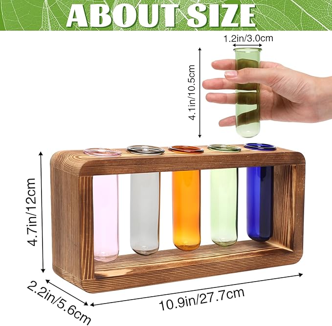 Terrarium Propagation Station, 5 Glass Test Tubes, Pine Wood Base