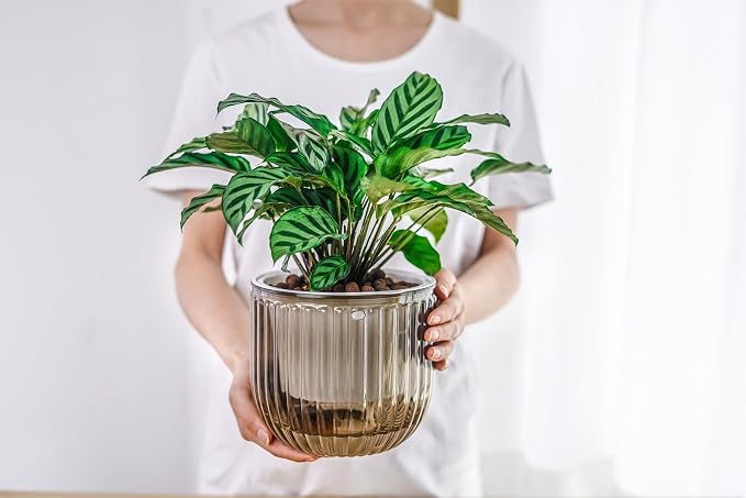 Melphoe 2 Pack Self Watering Hanging Planters Indoor Flower Pots, 6.5 Inch - Image 9