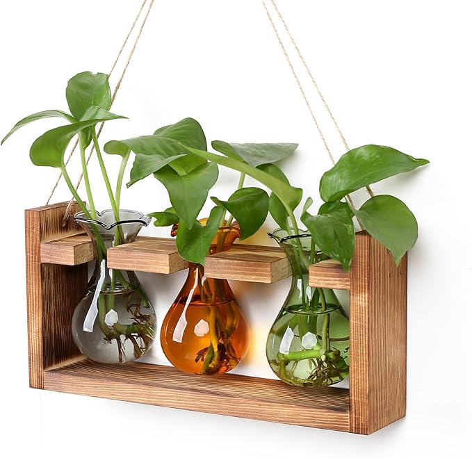Terrarium with 3 Bulb Glass Bottles, Wooden Stand and Borosilicate Glass
