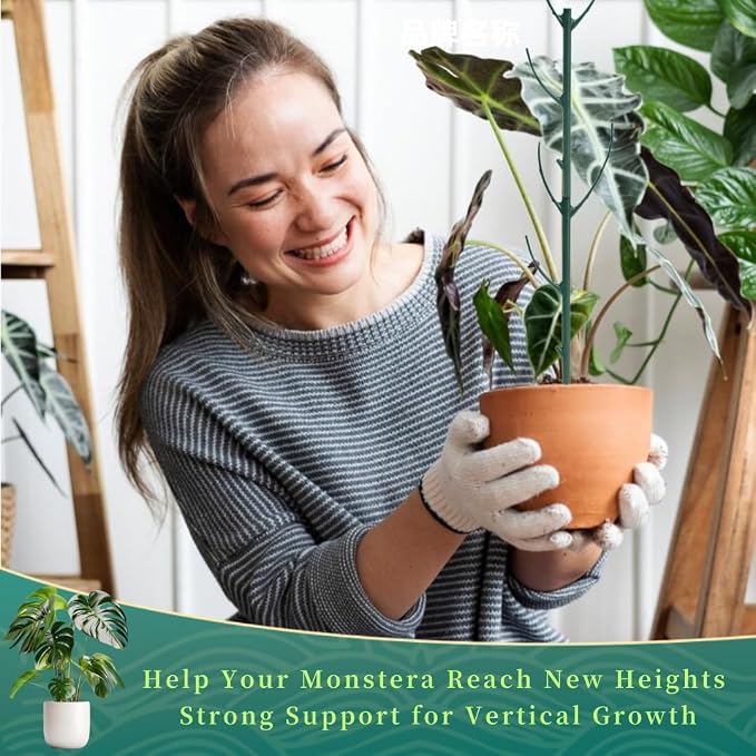 4 Pack Stackable Monstera Plant Support Stakes, 29inch Climbing Plant Sticks - Image 6