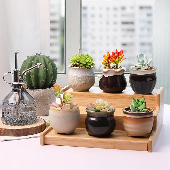 Ceramic Plant Pots, Set of 12 Glazed Mini Planters with Drainage Holes