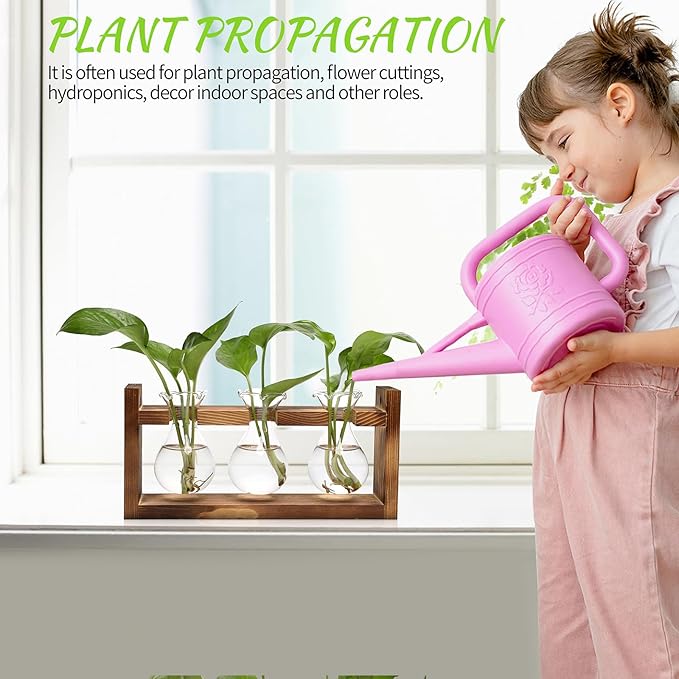 Terrarium Propagation Station with Three Glass Bulb Bottles and Wooden Stand