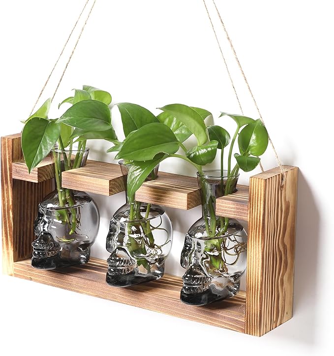 Terrarium Skull Glass Propagation Station Set with Wood Stand, 3 Pieces
