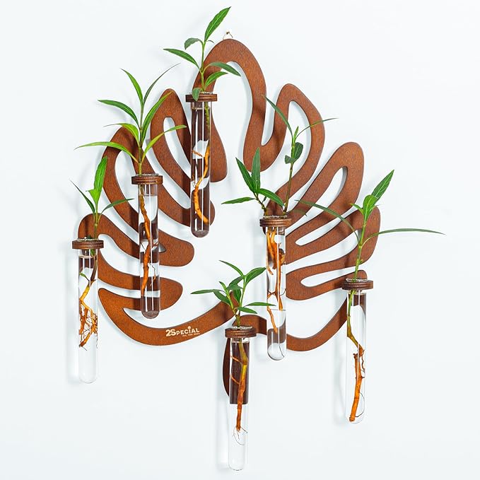 Vertical Wall Planter Propagation Station, Dark Nutmeg Wood and Glass