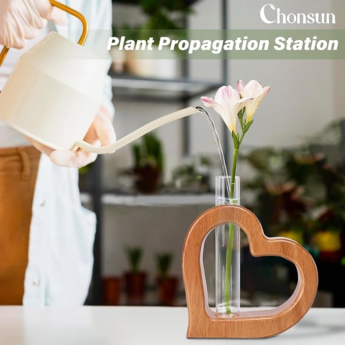Terrarium Wall Planter, 2-Piece Heart-Shaped Pine Stand with Glass Tube