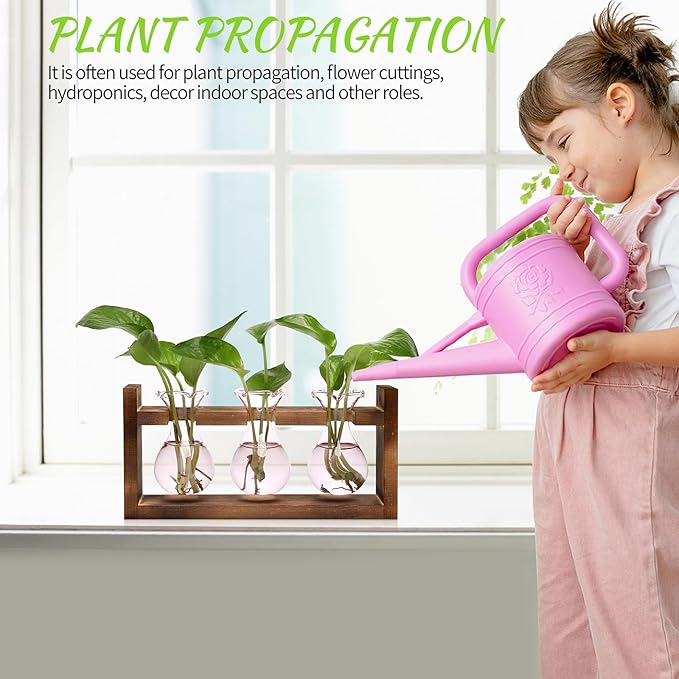 Terrarium Propagation Station, Pink Borosilicate Glass, 3 Bulbs