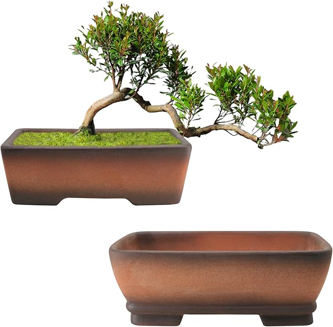 Planters: 2 Pack Rectangular Zisha Clay Pots with Drainage Holes