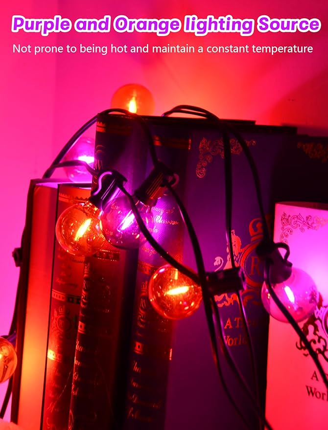 String Lights 25 ft G40 LED Halloween Globe, Orange and Purple