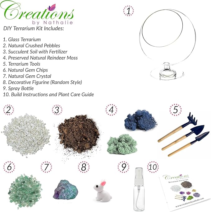 Terrarium Kit, Oval Glass Terrarium with Reindeer Moss, 6-Inch
