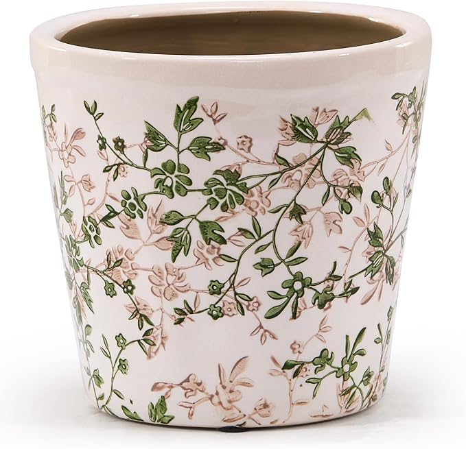 Ceramic Planter with Drainage Hole, Plastic Tray & Mesh, 6 Inch by TEWEIQI