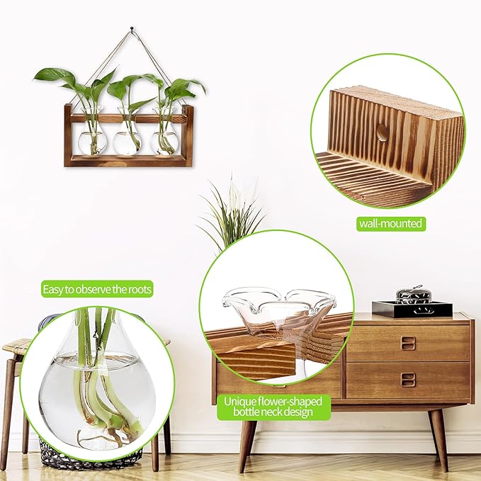 Terrarium Propagation Station with Three Glass Bulb Bottles and Wooden Stand