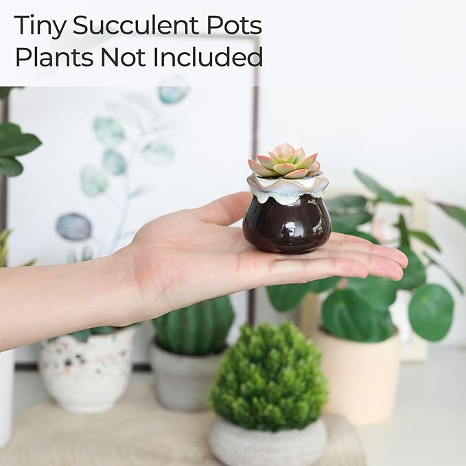 Ceramic Plant Pots, Set of 12 Glazed Mini Planters with Drainage Holes