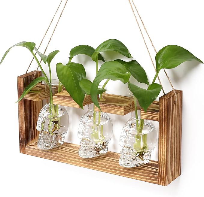 Terrarium Propagation Station Set of 3 Skull-Shaped Glass Vases