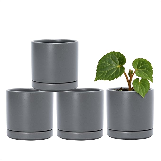 Planters: Small Round Gray Ceramic Pots with Saucers, Set of 4