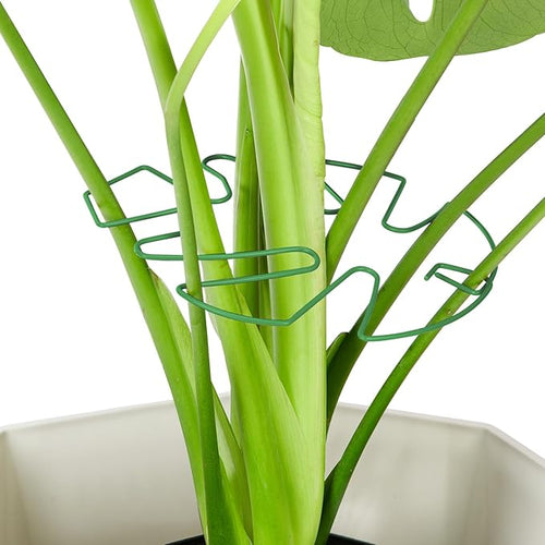 10PCS Iron Monstera Plant Support, Uniquely Designed Indoor Plant Accessories by Unknown