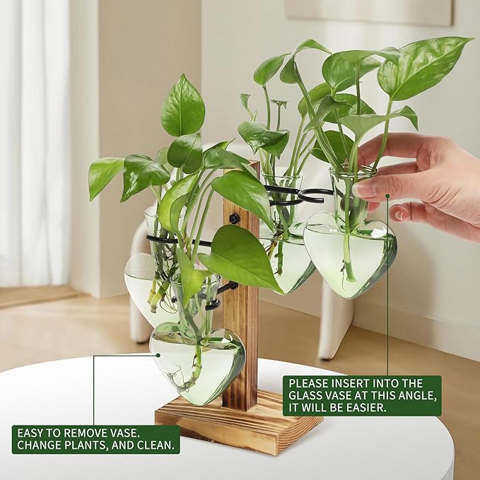 Terrarium Plant Propagation Station, Heart-Shaped Green Glass with Wood Stand