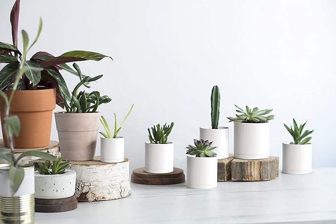 Planters, 12 Matte White Plastic Pots with Drainage Saucers, 3-Inch