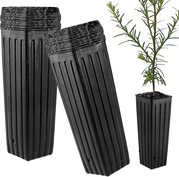 DredQcco Tall Deep Tree Pot by DredQcco