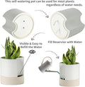 Planter Pot with Self Watering Wick, 8 Inch Ceramic, White