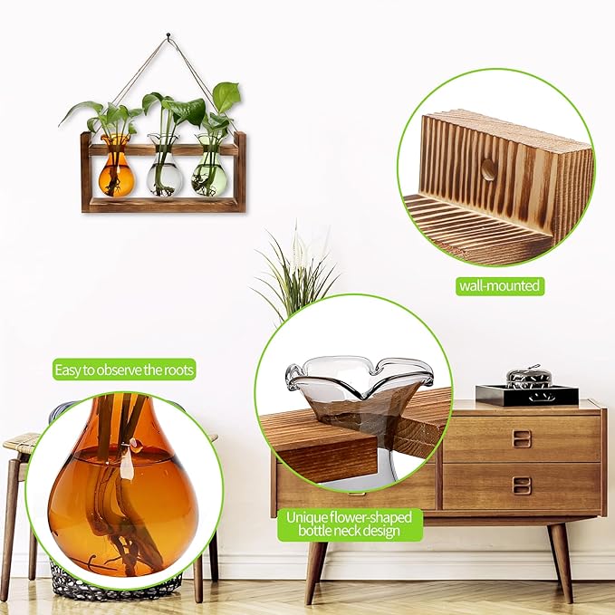 Terrarium with 3 Bulb Glass Bottles, Wooden Stand and Borosilicate Glass