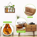Terrarium with 3 Bulb Glass Bottles, Wooden Stand and Borosilicate Glass