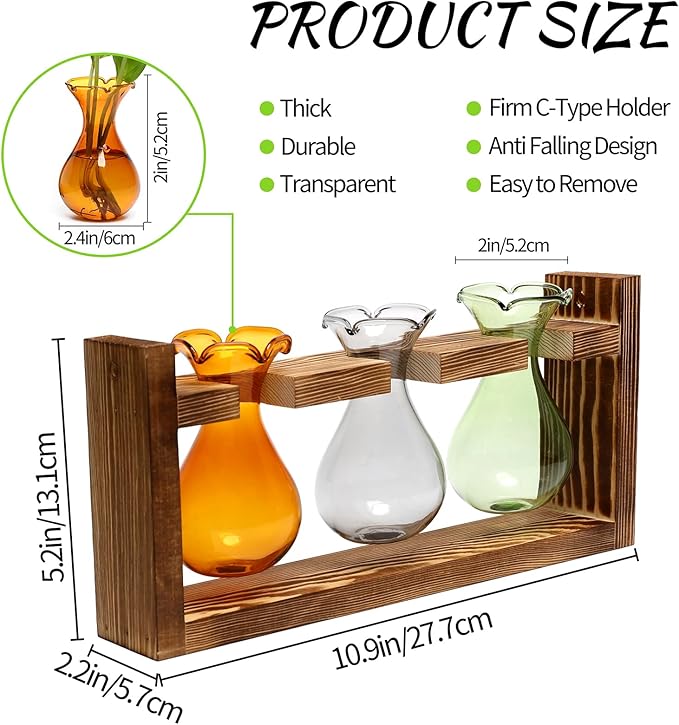 Terrarium with 3 Bulb Glass Bottles, Wooden Stand and Borosilicate Glass