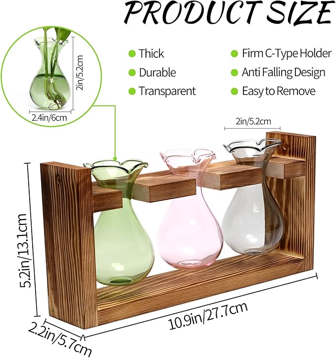 Terrarium Propagation Station with 3 Bulb Glass Bottles and Wooden Stand