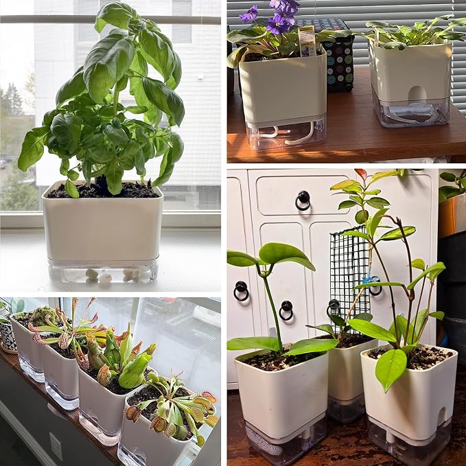 Planterhoma Self Watering Plant Pots - Image 9