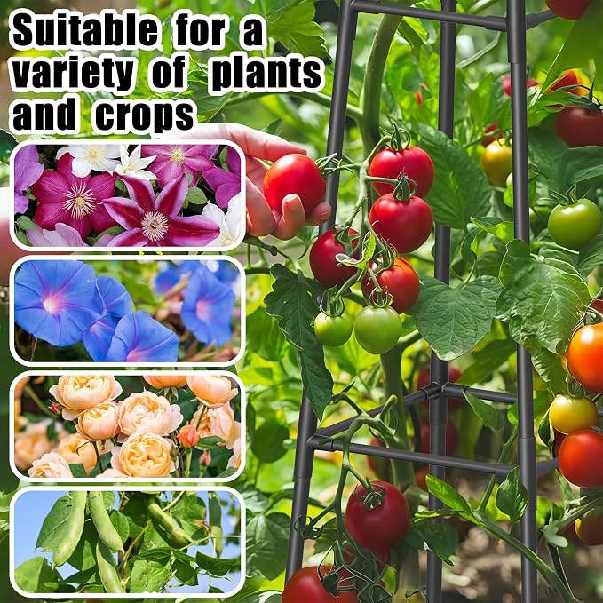 5.2FT Obelisk Trellis for Climbing Plants Outdoor, 16mm Rust-Proof Extra - Image 6