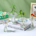 Terrarium Propagation Station Set of 6, Clear Borosilicate Glass Vases