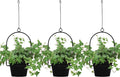 Gardzen 3 Packs Hanging Pots for Plants Outdoor & Indoor, Pot Hangers for Plant by Gardzen