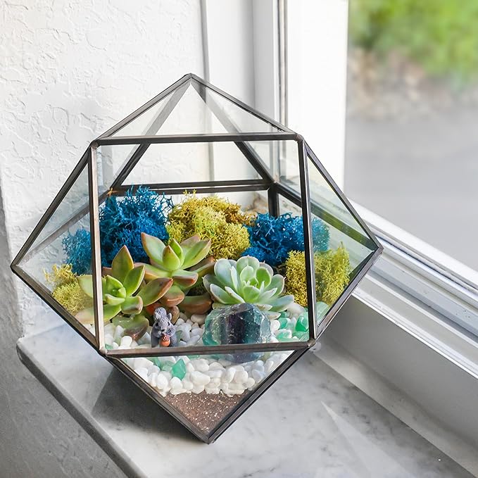 Terrarium Kit with 7-Inch Geometric Glass Dodecahedron, Moss and Crystals