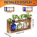 Terrarium Propagation Station Set, Skull Shape, 3 Borosilicate Glass Vases