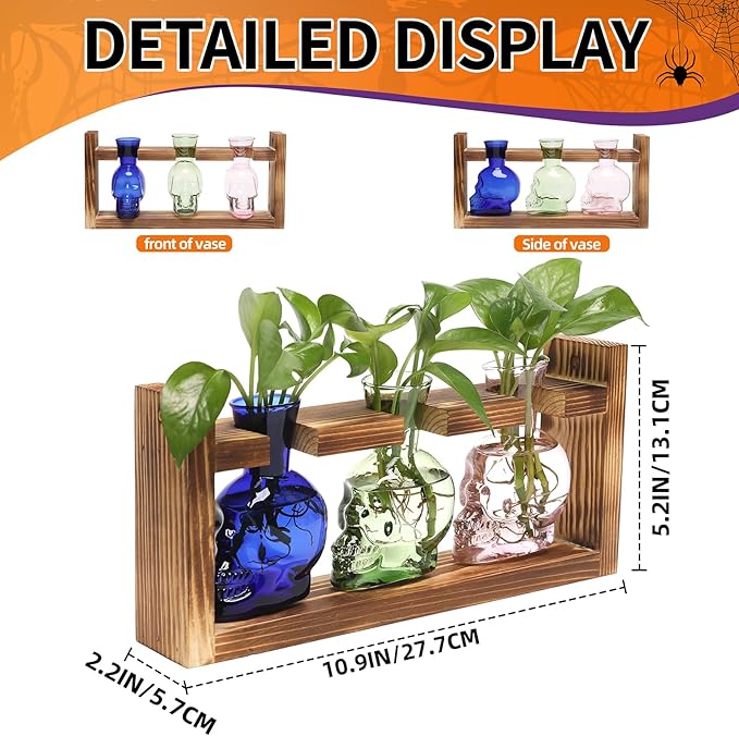 Terrarium Propagation Station Set, Skull Shape, 3 Borosilicate Glass Vases