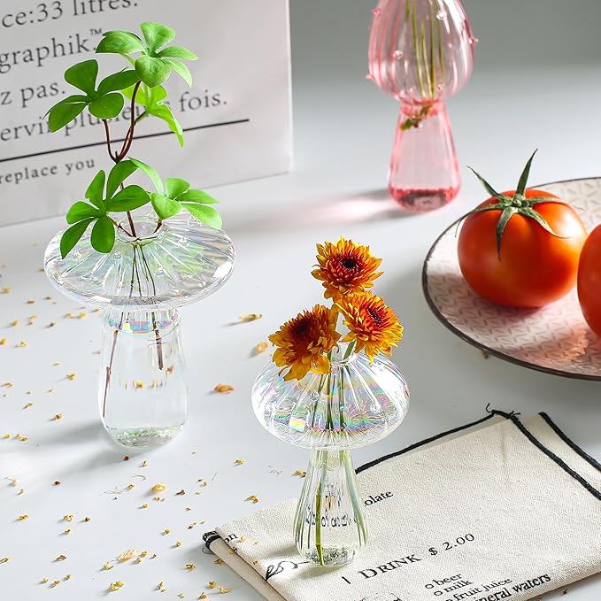Terrarium Propagation Station Set of 6, Clear Borosilicate Glass Vases