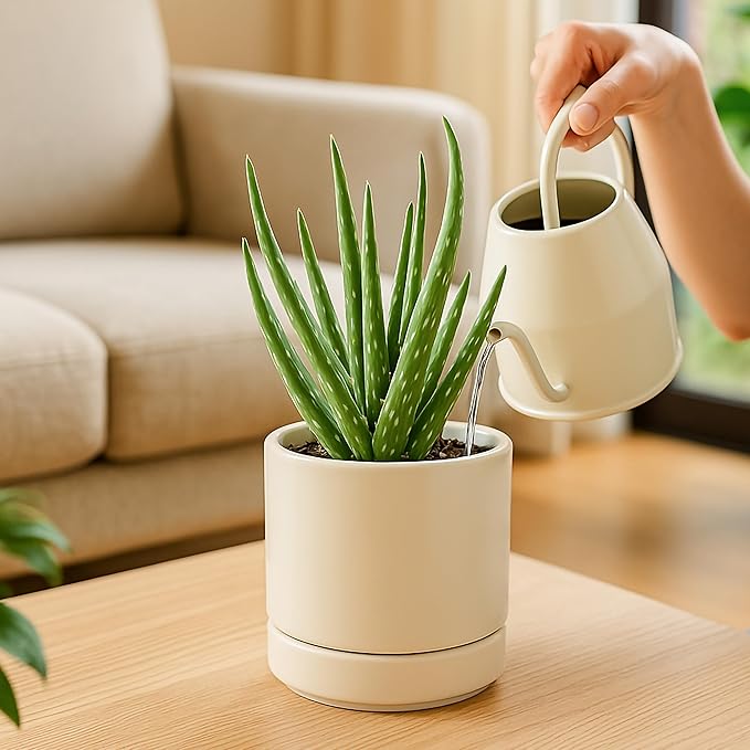 Planters, Set of 4 Small Round Ceramic Pots in Oatmeal with Saucers