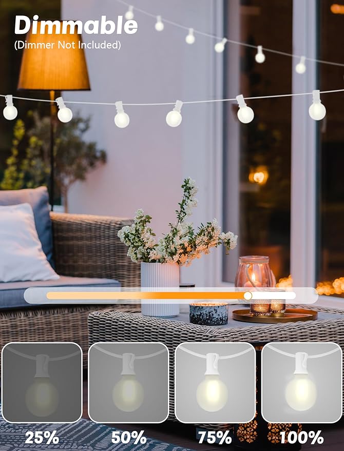 Indoor String Lights 50 FT Frosted White LED with 50 G40 Bulbs