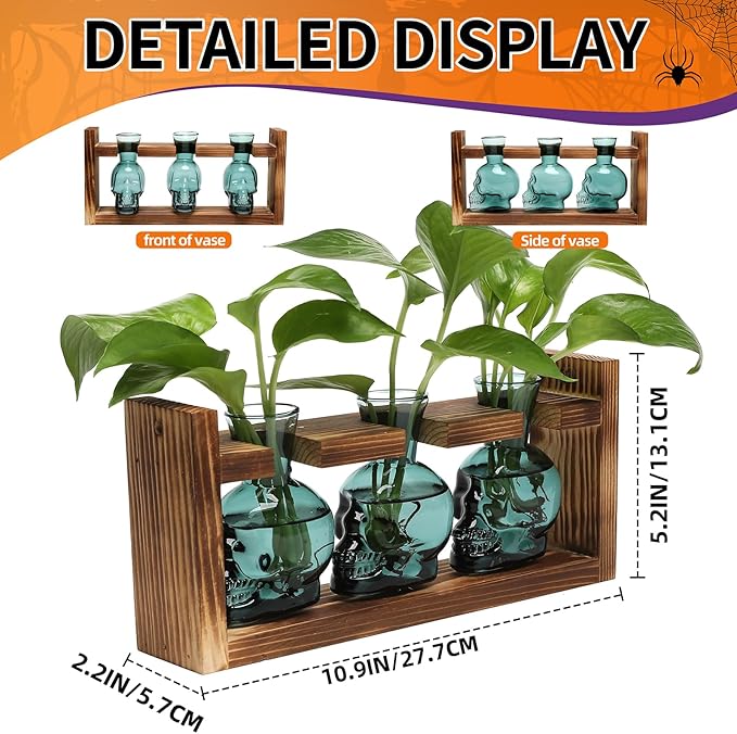 Terrarium Skull Propagation Station Set of 3 Glass Vases, Dark Green