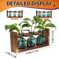 Terrarium Skull Propagation Station Set of 3 Glass Vases, Dark Green