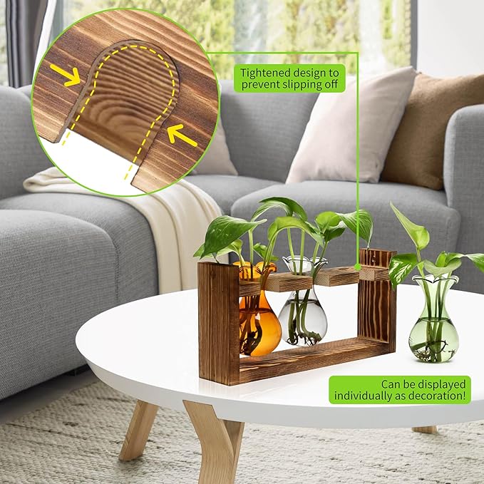 Terrarium with 3 Bulb Glass Bottles, Wooden Stand and Borosilicate Glass