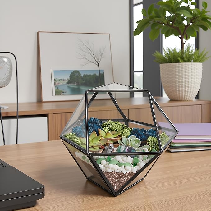 Terrarium Kit with 7-Inch Geometric Glass Dodecahedron, Moss and Crystals